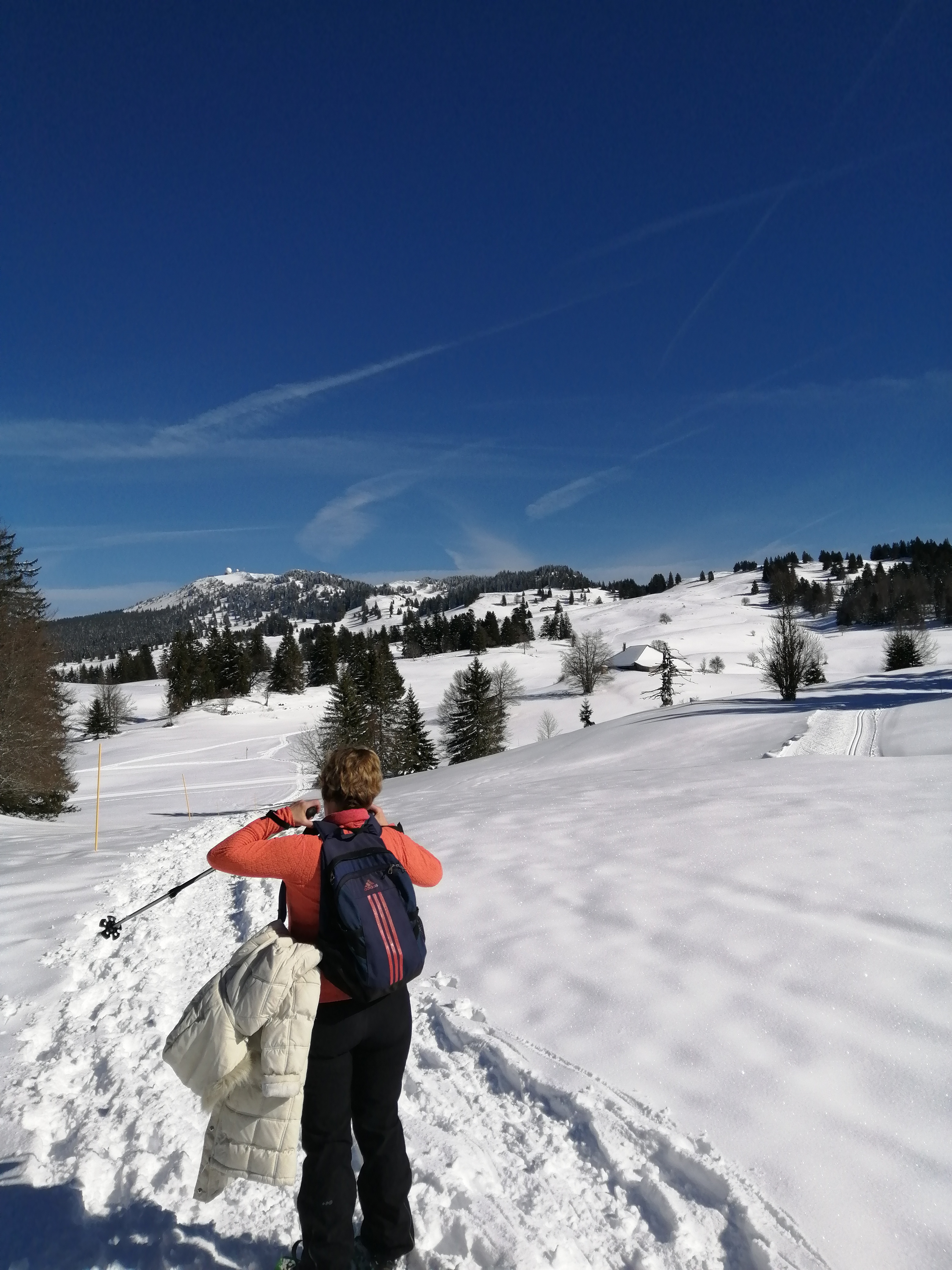 Photo n° 18 de l'avis de paisajes,.i fait le 08/03/2020 à 23:01
