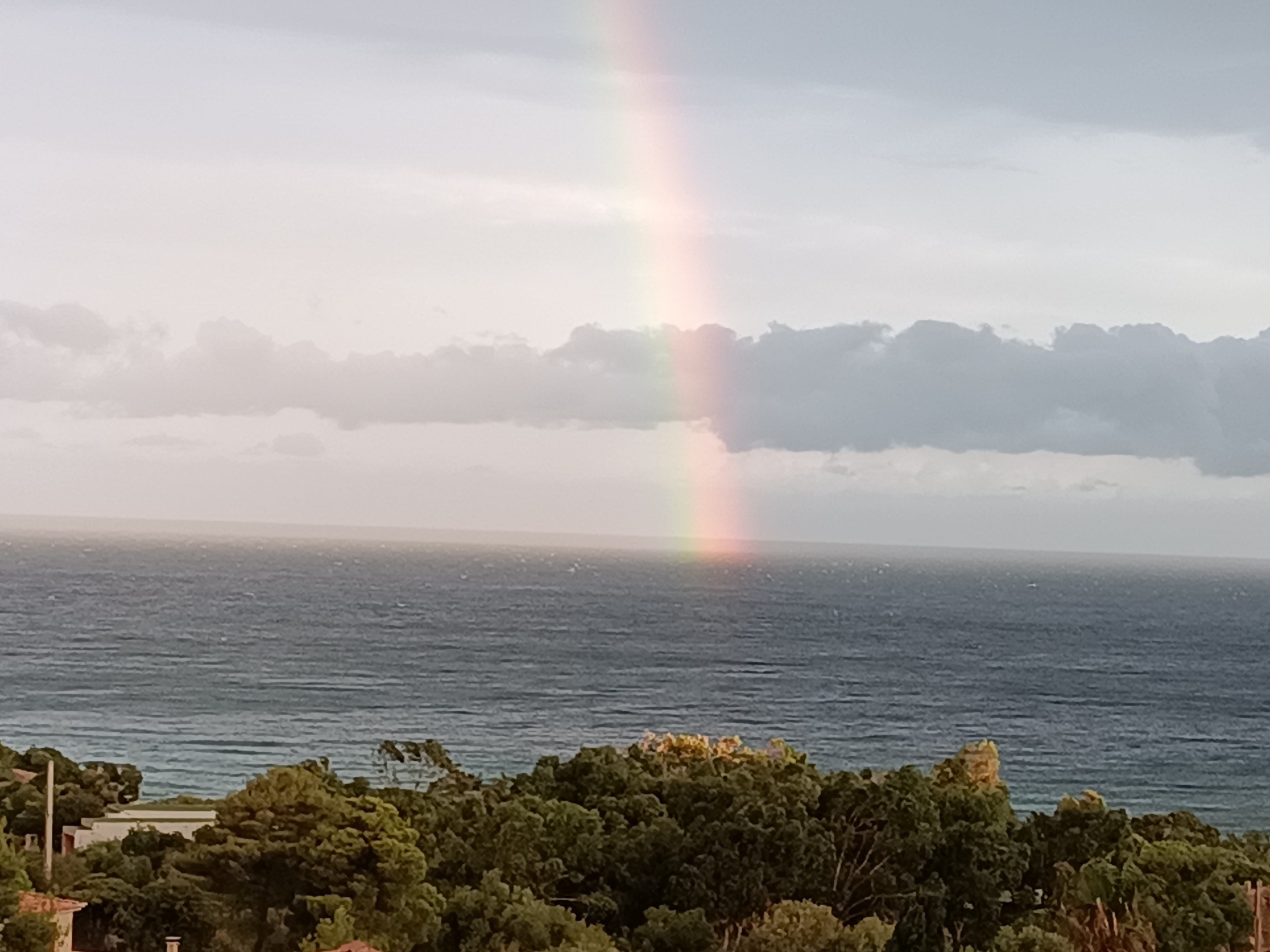 Photo n° 7 de l'avis de silvio.a fait le 21/08/2022 à 06:24