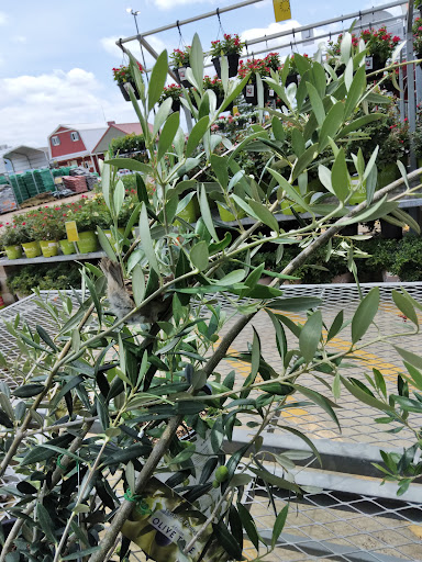 Home Improvement Store «The Home Depot», reviews and photos, 151 Windsor Ave, Terrell, TX 75160, USA