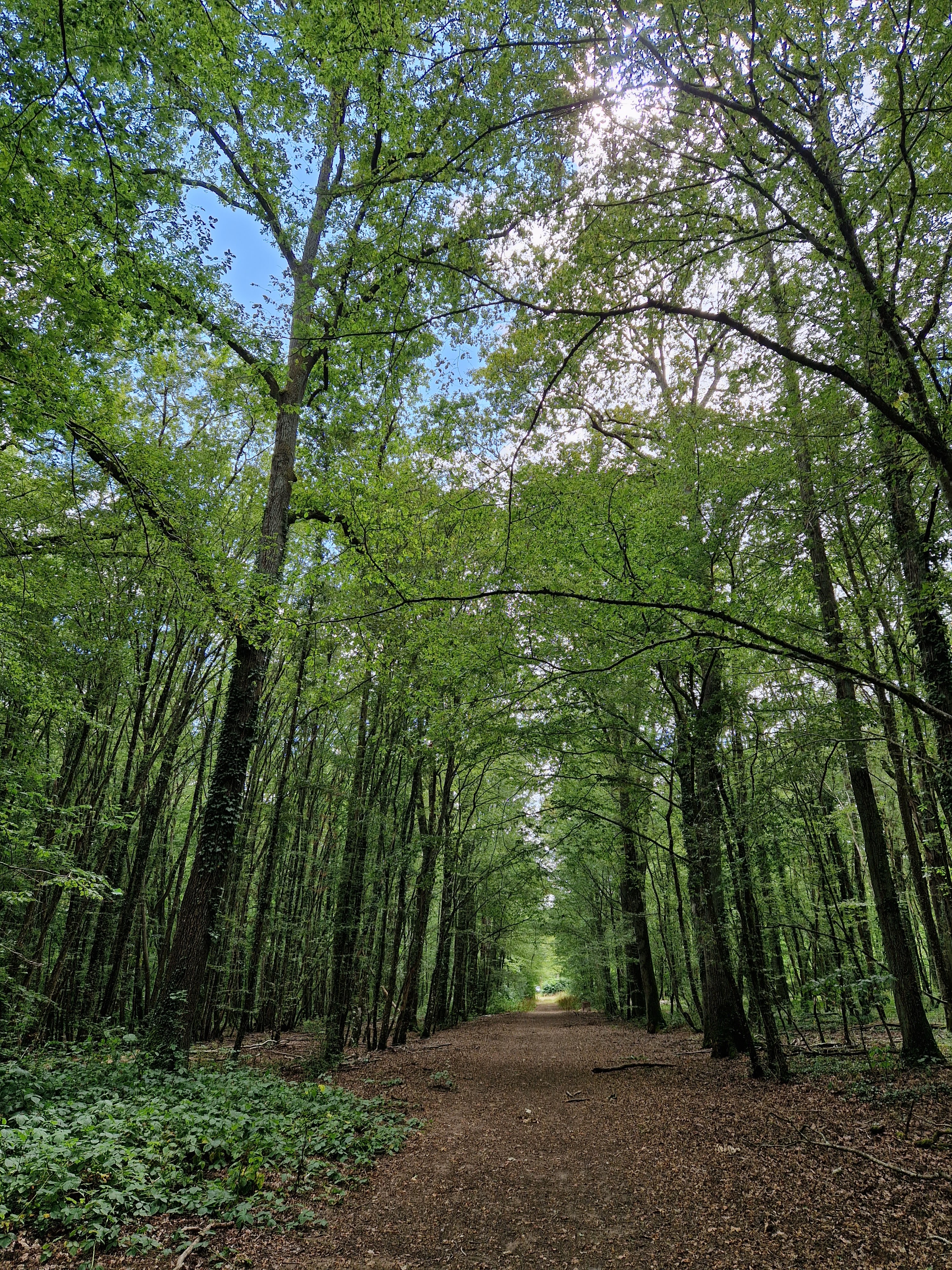 Photo n° 1 de l'avis de Michella.a fait le 24/07/2023 à 17:59