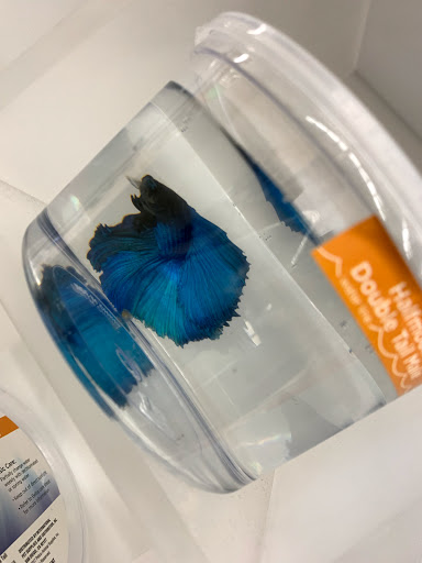 Pet Supply Store «Petco Animal Supplies», reviews and photos, 20980 Westgate Mall, Fairview Park, OH 44126, USA