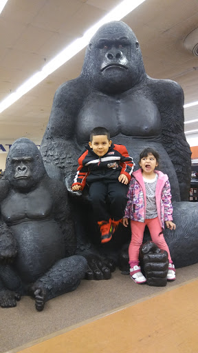 Furniture Store «Unclaimed Freight», reviews and photos, 5370 Allentown Pike, Temple, PA 19560, USA