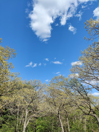 Park «Theodore Wirth Regional Park», reviews and photos, 1339 Theodore Wirth Pkwy, Golden Valley, MN 55422, USA