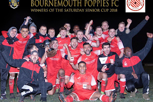 Bournemouth Poppies Football Club image