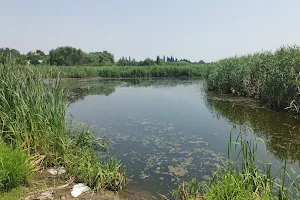 Lacul Periș-Cocioc image