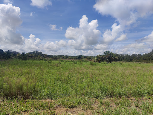 Nature Preserve «Triple Creek Nature Preserve», reviews and photos, 13112 Balm Boyette Rd, Riverview, FL 33579, USA