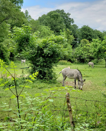 Zoo «Bronx Zoo», reviews and photos, 2300 Southern Blvd, Bronx, NY 10460, USA