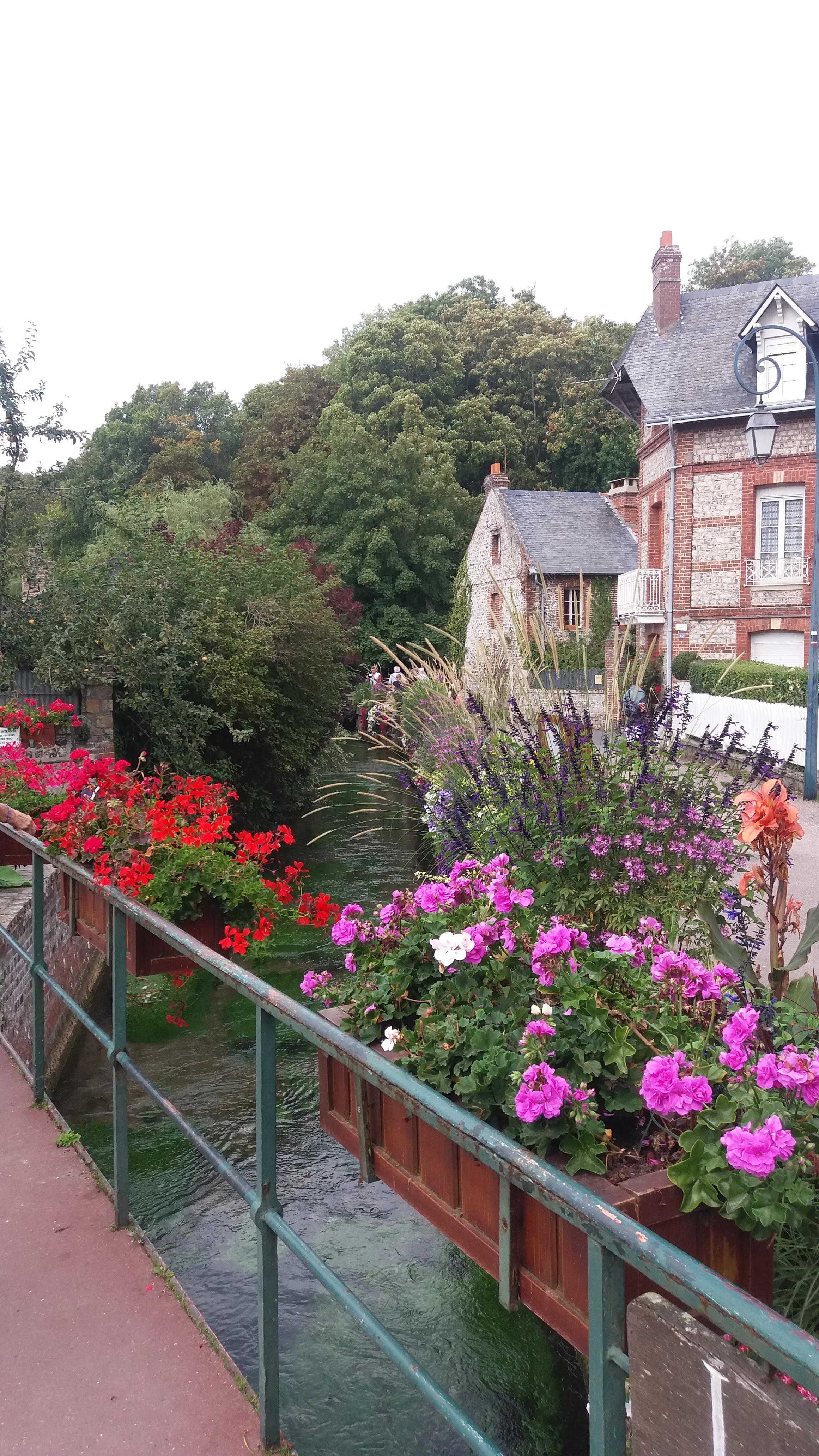 Photo n° 8 de l'avis de Régine.H fait le 26/09/2018 à 07:13