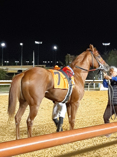 Casino «Hollywood Casino at Charles Town Races», reviews and photos, 580 E 5th Ave, Ranson, WV 25438, USA