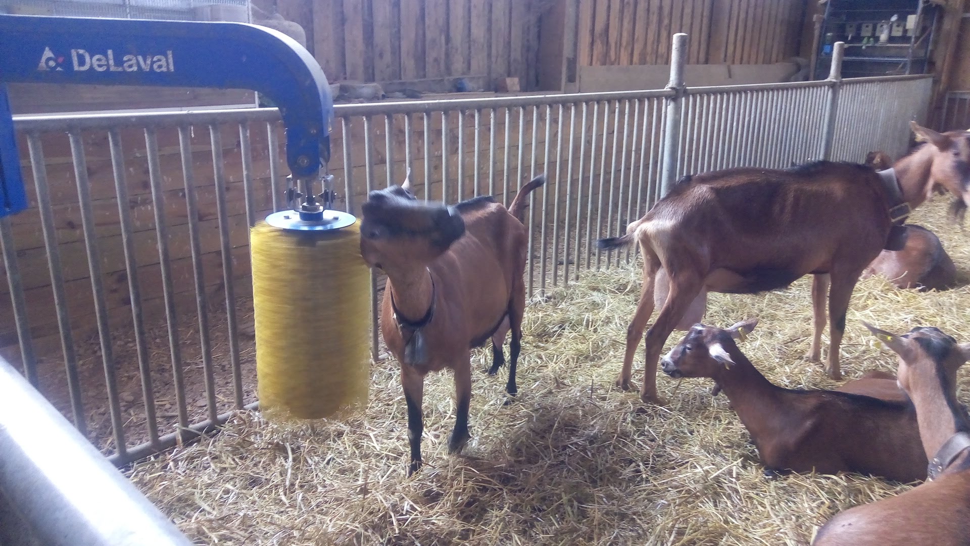 Photo n° 3 de l'avis de Frisher.y fait le 01/07/2018 à 12:25