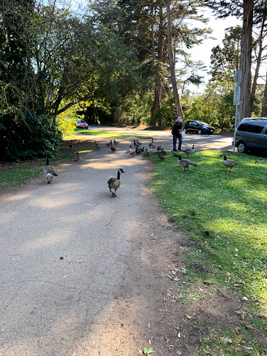 Park «Huntington Falls», reviews and photos, 50 Stow Lake Dr, San Francisco, CA 94118, USA