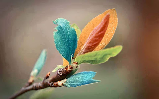 Coffee Shop «Coffee Exchange», reviews and photos, 207 Wickenden St, Providence, RI 02903, USA