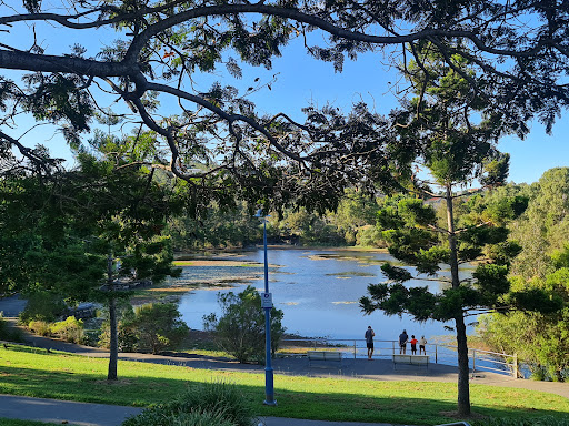 Pacific Pines Central Park, 149 Pacific Pines Blvd, Pacific Pines QLD 4211