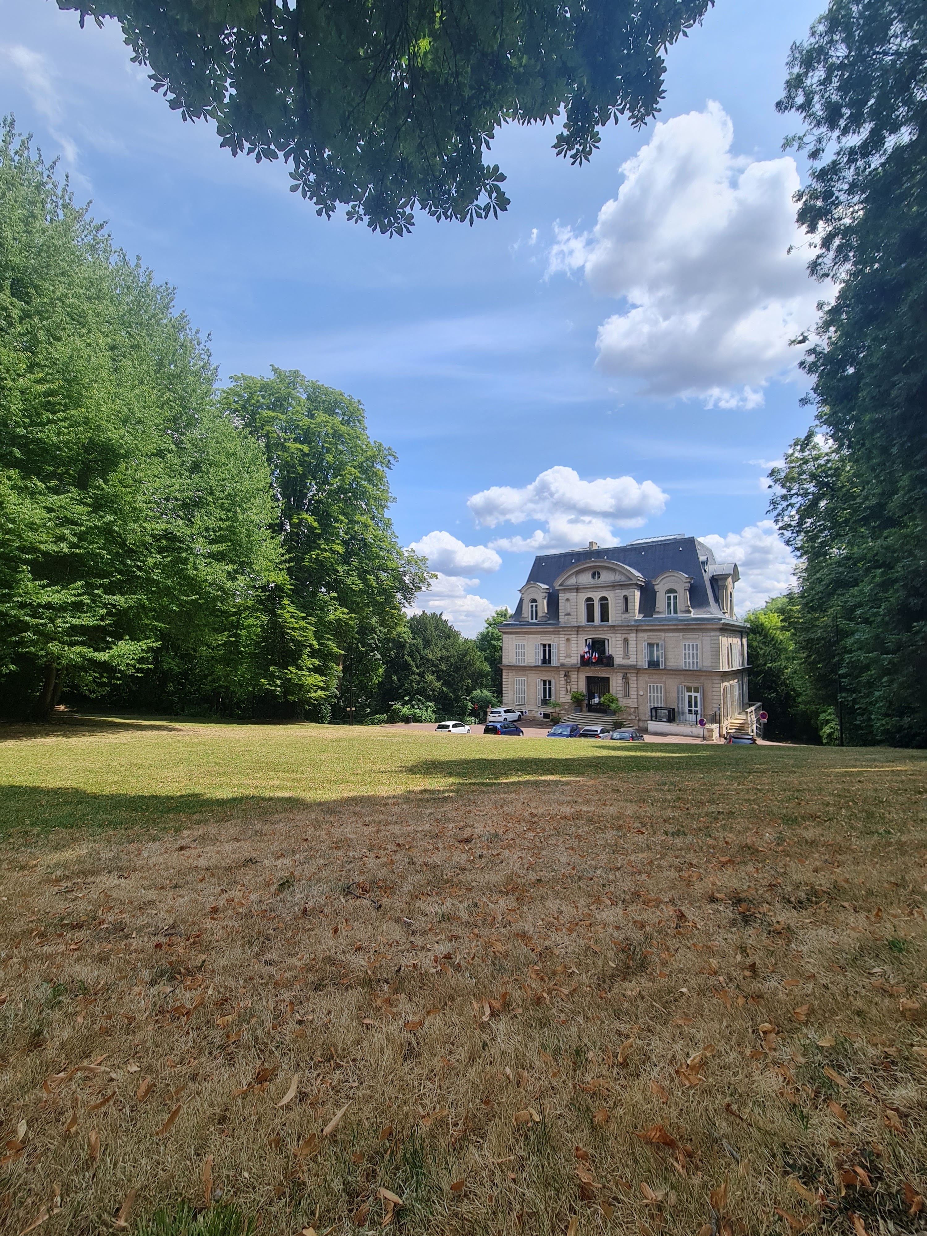 Photo n° 1 de l'avis de Marion. fait le 21/07/2023 à 13:20