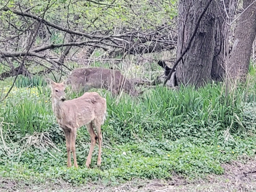 Nature Preserve «Thaddeus S. 