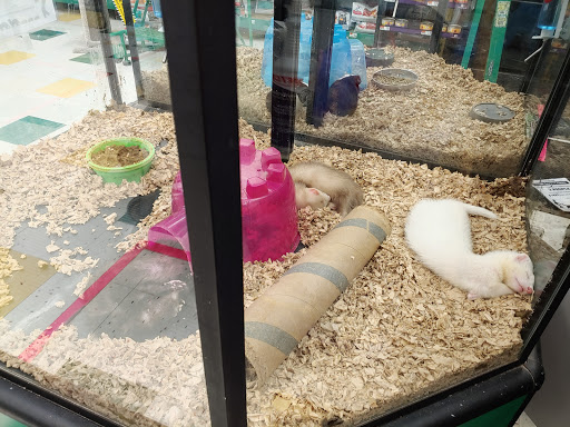 Pet Supply Store «Pet Supplies Plus», reviews and photos, 5229 Library Rd, Bethel Park, PA 15102, USA