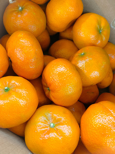 Grocery Store «Country Squire Food Market», reviews and photos, 113 W Joe Orr Rd, Chicago Heights, IL 60411, USA