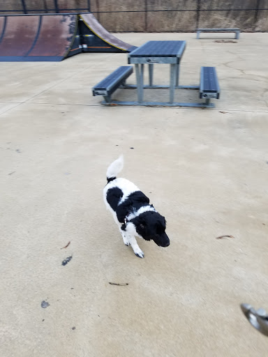 Park «Hampe Park», reviews and photos, 297 W Lies Rd, Carol Stream, IL 60188, USA