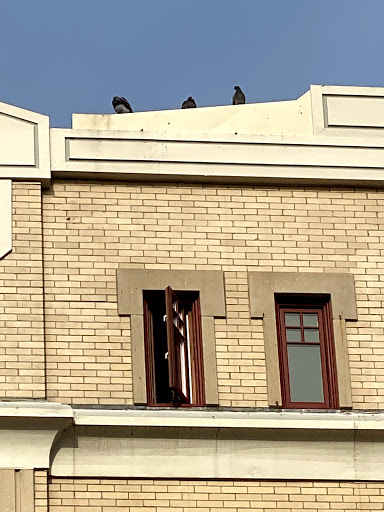 Performing Arts Theater «Penobscot Theatre Company», reviews and photos, 131 Main St, Bangor, ME 04401, USA