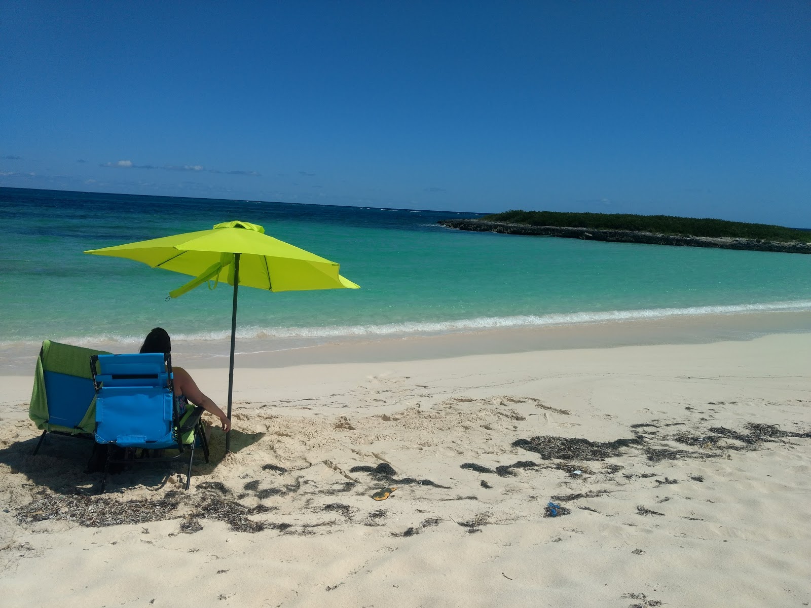Foto de French Leave beach - lugar popular entre os apreciadores de relaxamento