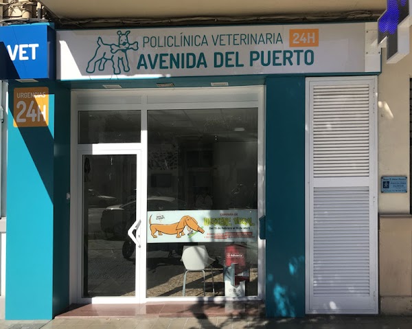 62 Opiniones REALES de Policlínica Veterinaria 24 horas Avenida del Puerto ( Veterinario) en Valencia | GuiaDeMicroempresas.es