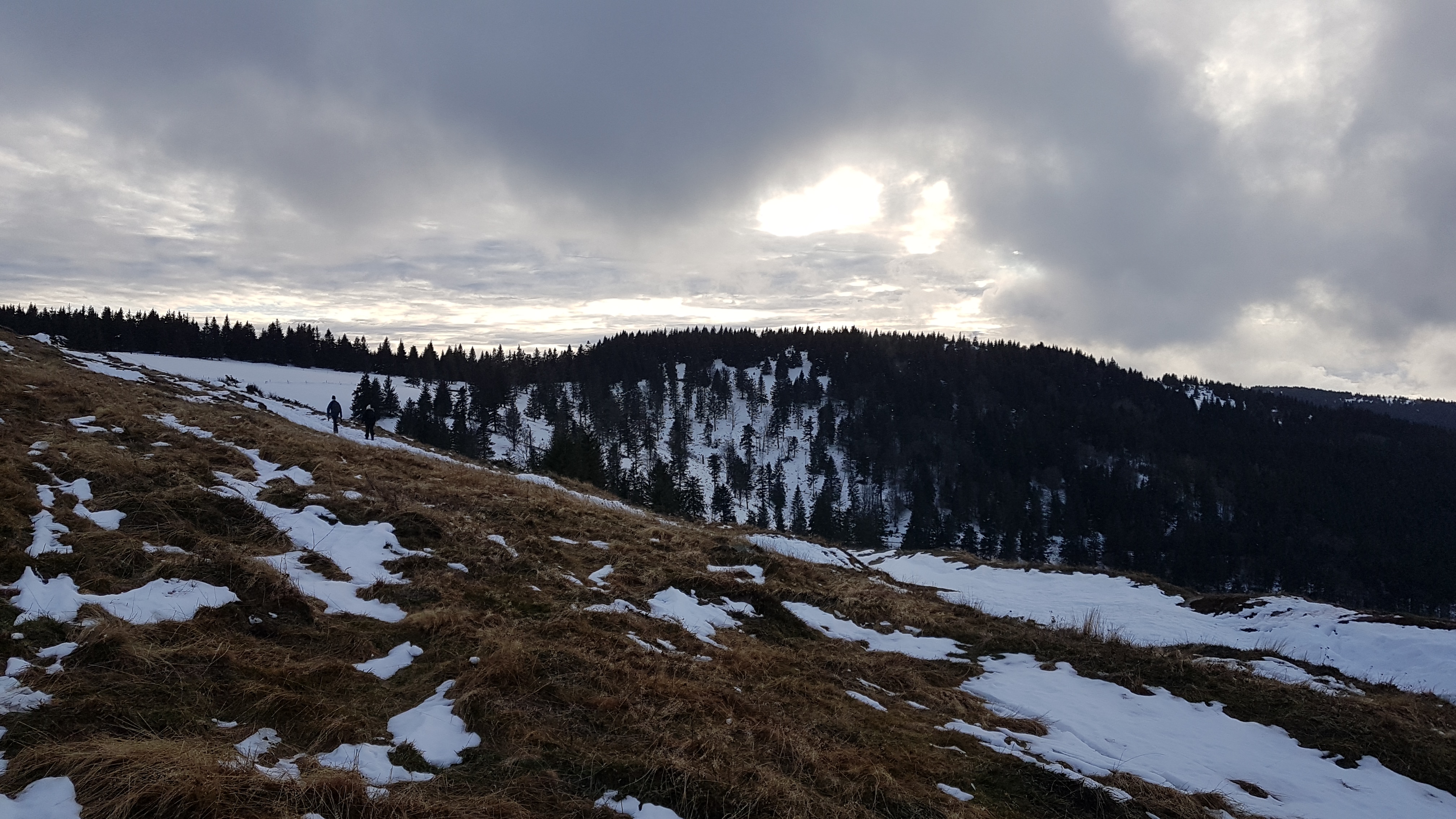 Photo n° 47 de l'avis de Samuel.a fait le 11/11/2016 à 18:47