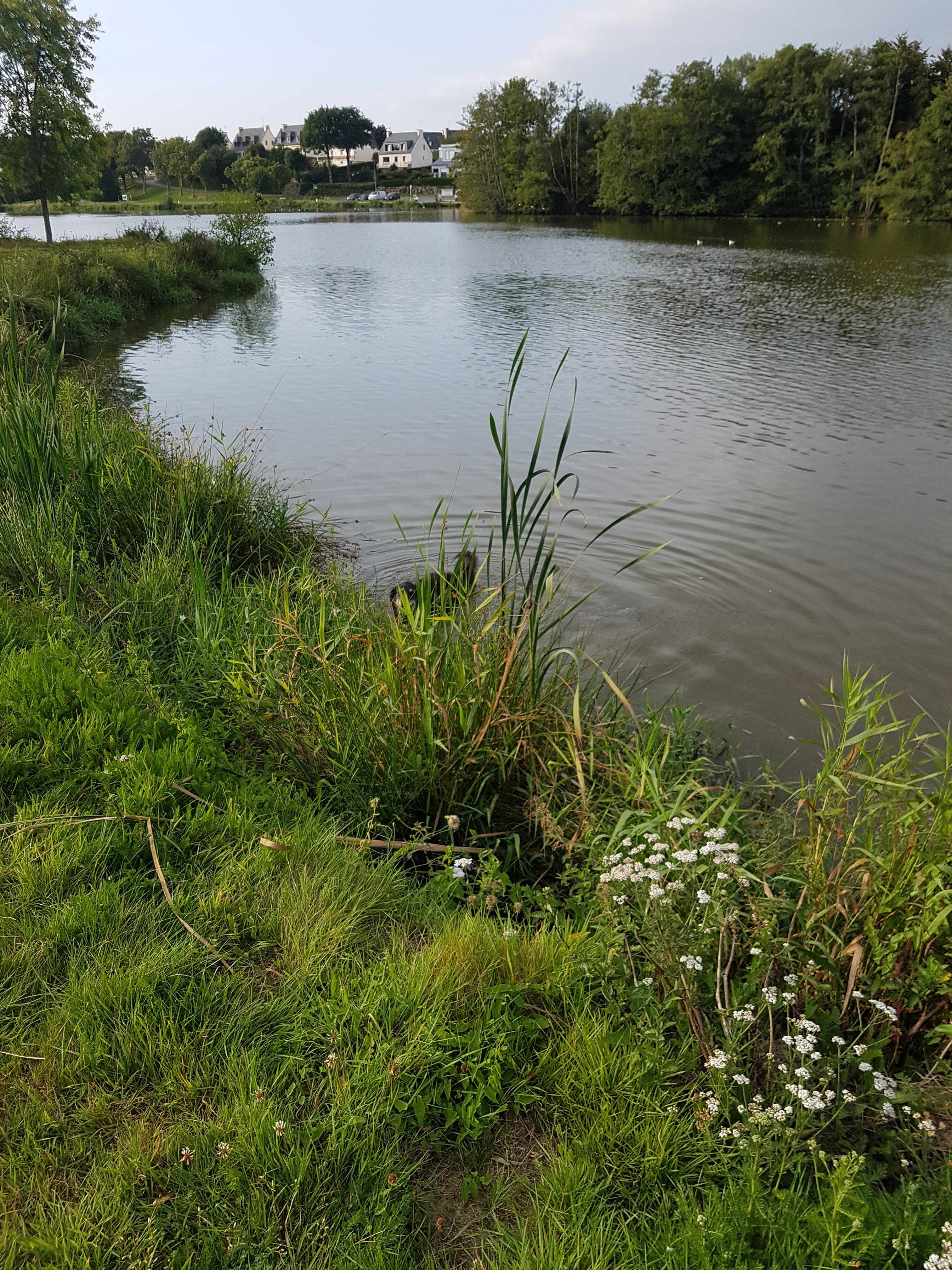 Photo n° 15 de l'avis de Dan. fait le 09/09/2017 à 14:11