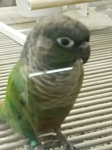 Pet Supply Store «Petco Animal Supplies», reviews and photos, 2621 MacArthur Rd, Whitehall, PA 18052, USA