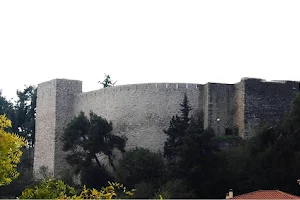 Byzantine Castle of Trikala image