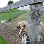 Photo n°3 de l'avis de Roberta.a fait le 24/08/2020 à 18:36 sur le  Ahner Berghof à Rodeneck
