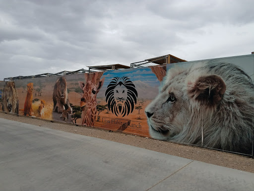 Zoo «Lion Habitat Ranch Inc», reviews and photos, 382 Bruner Ave, Henderson, NV 89044, USA