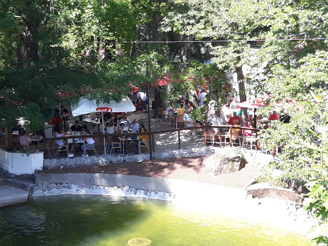 Café do Lago - Cafeteria
