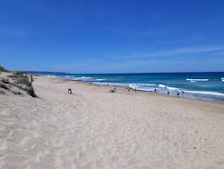 Zdjęcie Rye Ocean Beach dziki obszar