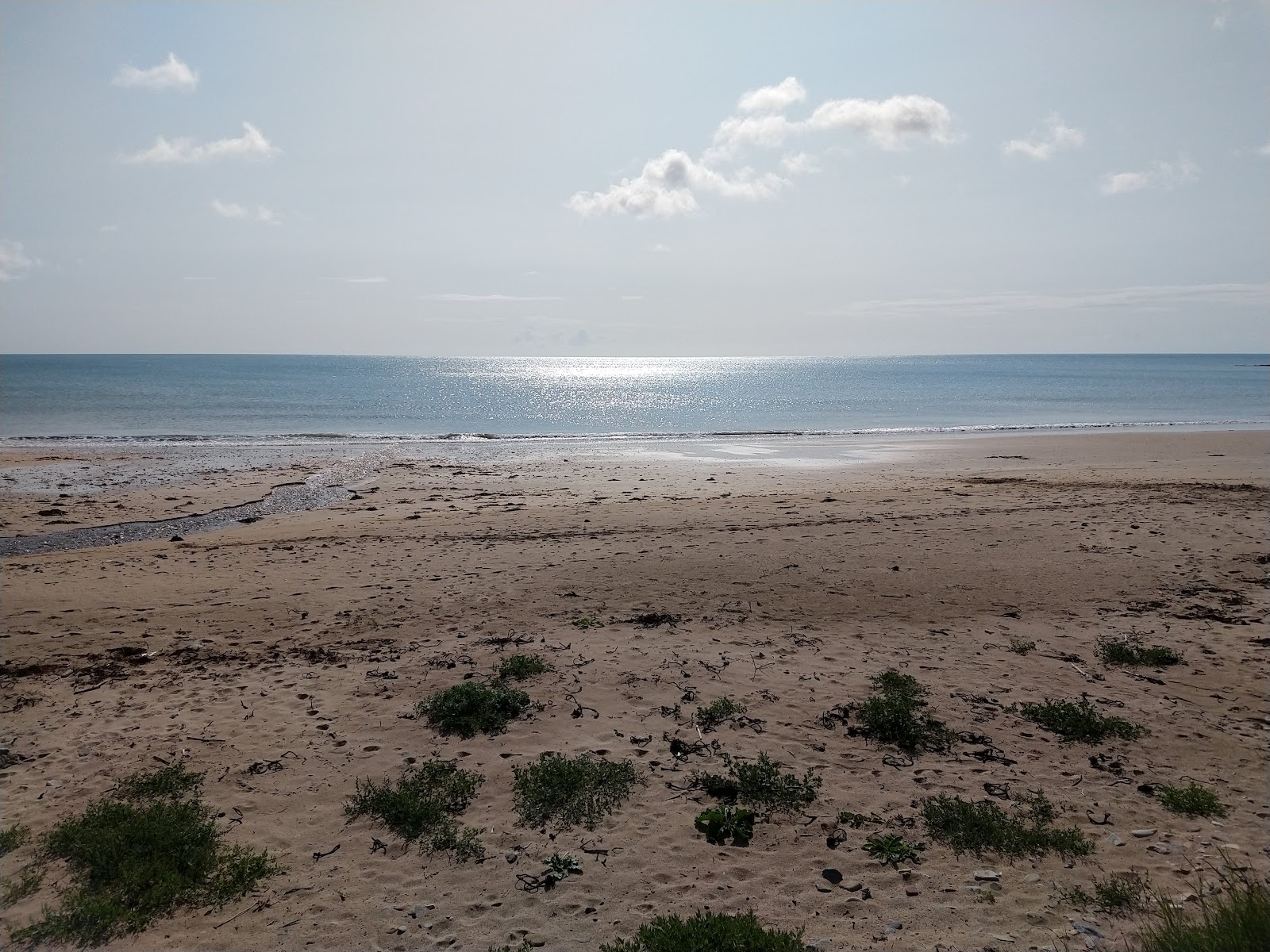Crushea Bay Beach'in fotoğrafı geniş bir kıyı şeridi ile birlikte