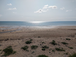 Crushea Bay Beach'in fotoğrafı geniş bir kıyı şeridi ile birlikte