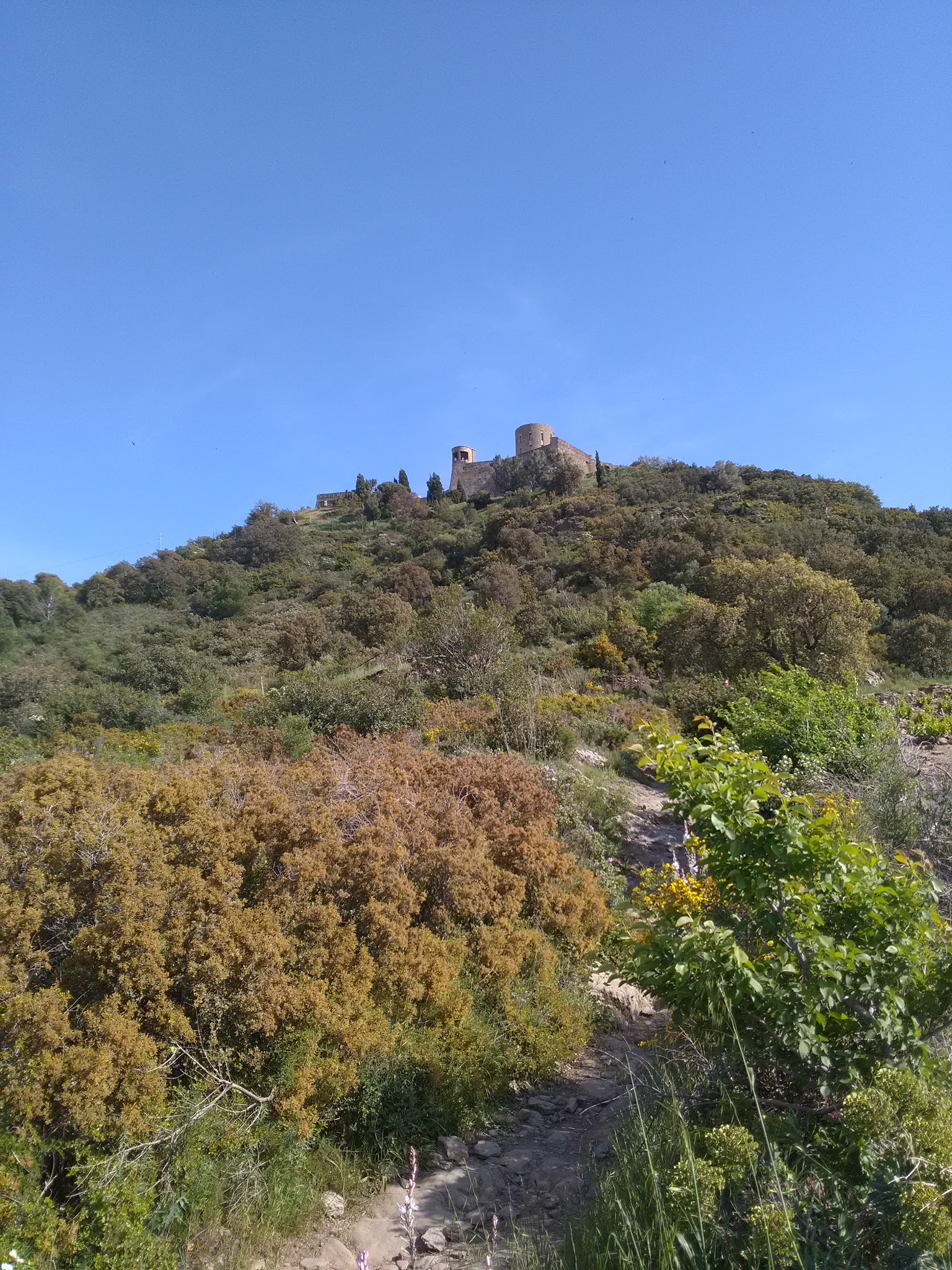 Photo n° 1 de l'avis de c. fait le 03/05/2018 à 21:19