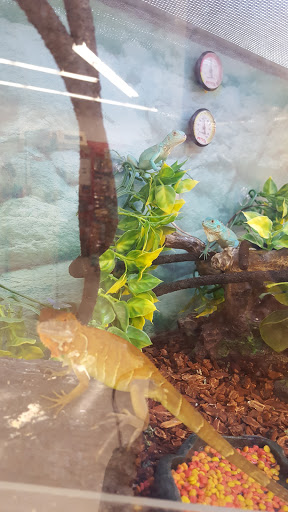 Pet Supply Store «Petco Animal Supplies», reviews and photos, 1220 Commons Cir, Plover, WI 54467, USA