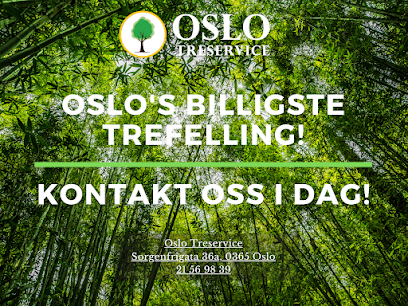Oslo TreService - Trefelling Og Trepleie Ekspert