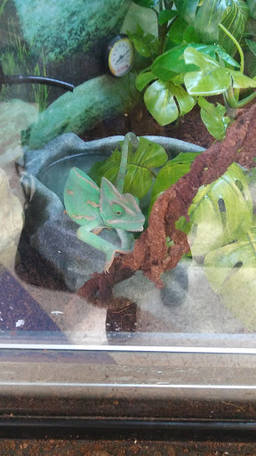 Pet Supply Store «Petco Animal Supplies», reviews and photos, 450 N Rte 17, Paramus, NJ 07652, USA