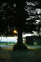 Photo n°17 de Ferme de Garance à Magnac-Laval ()