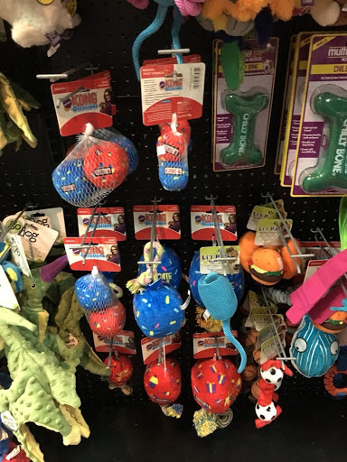 Pet Supply Store «Wespaw Pets», reviews and photos, 44-05 Queens Blvd, Sunnyside, NY 11104, USA