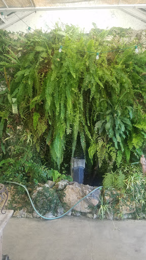 Florist «Ah Sam Florist», reviews and photos, 2645 S El Camino Real, San Mateo, CA 94403, USA