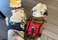 Banfield Pet Hospital - Photo 9 - Car repair in Hialeah, FL, Hialeah