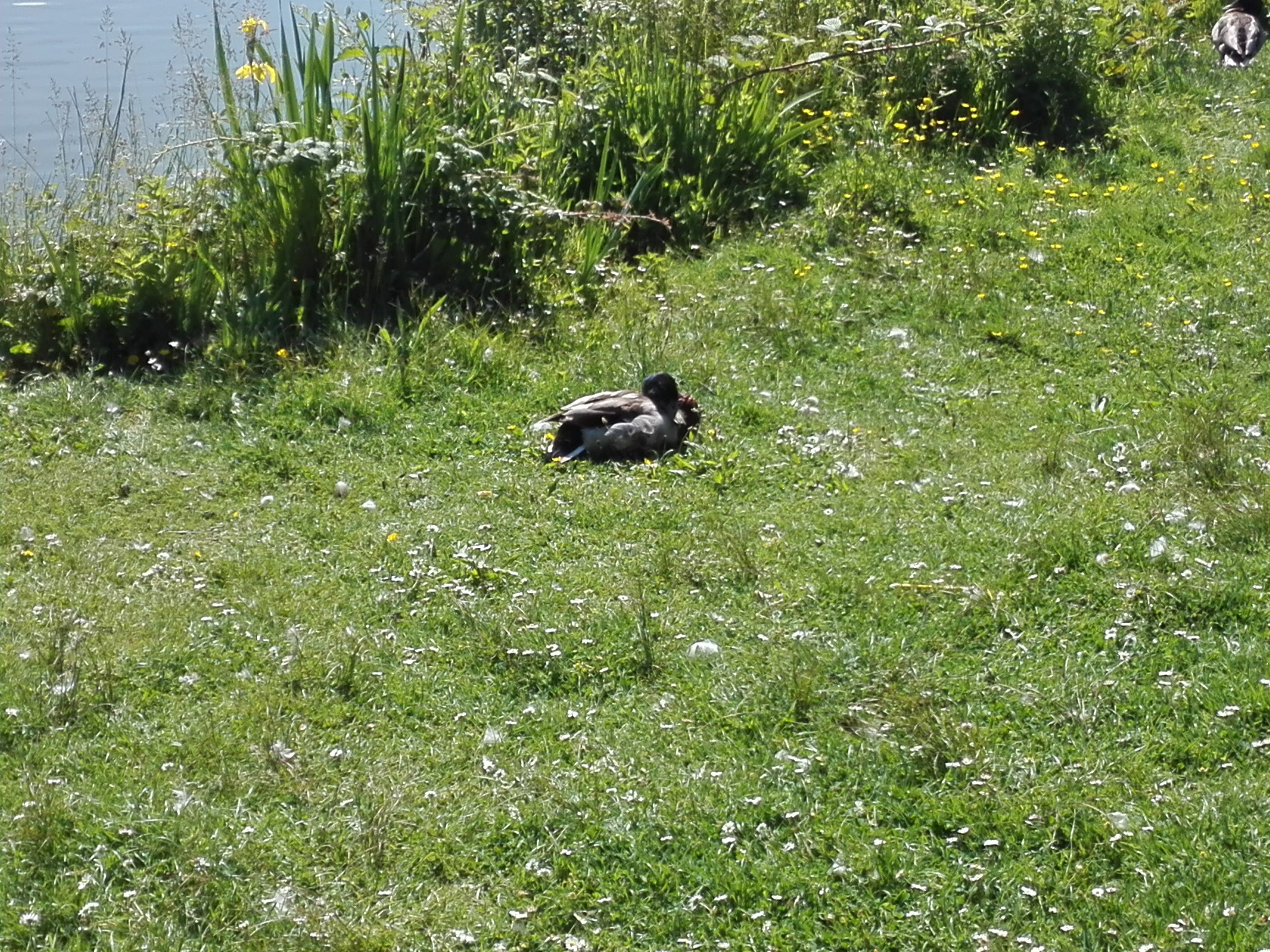 Photo n° 4 de l'avis de Raph.e fait le 05/06/2019 à 14:22