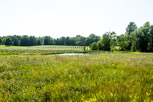 Wedding Venue «Hidden Vineyard Wedding Barn», reviews and photos, 6337 Snyder Rd, Berrien Springs, MI 49103, USA