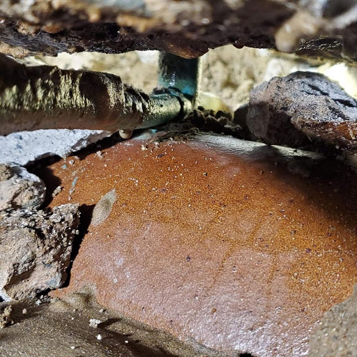 Plumber «Bison Plumbing», reviews and photos, 25780 Ryan Rd, Warren, MI 48091, USA