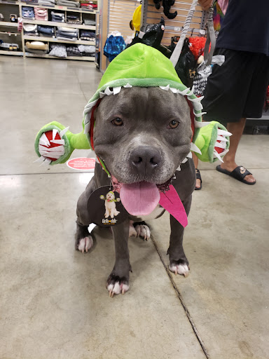 Pet Supply Store «PetSmart», reviews and photos, 2140 17th St, Santa Ana, CA 92705, USA