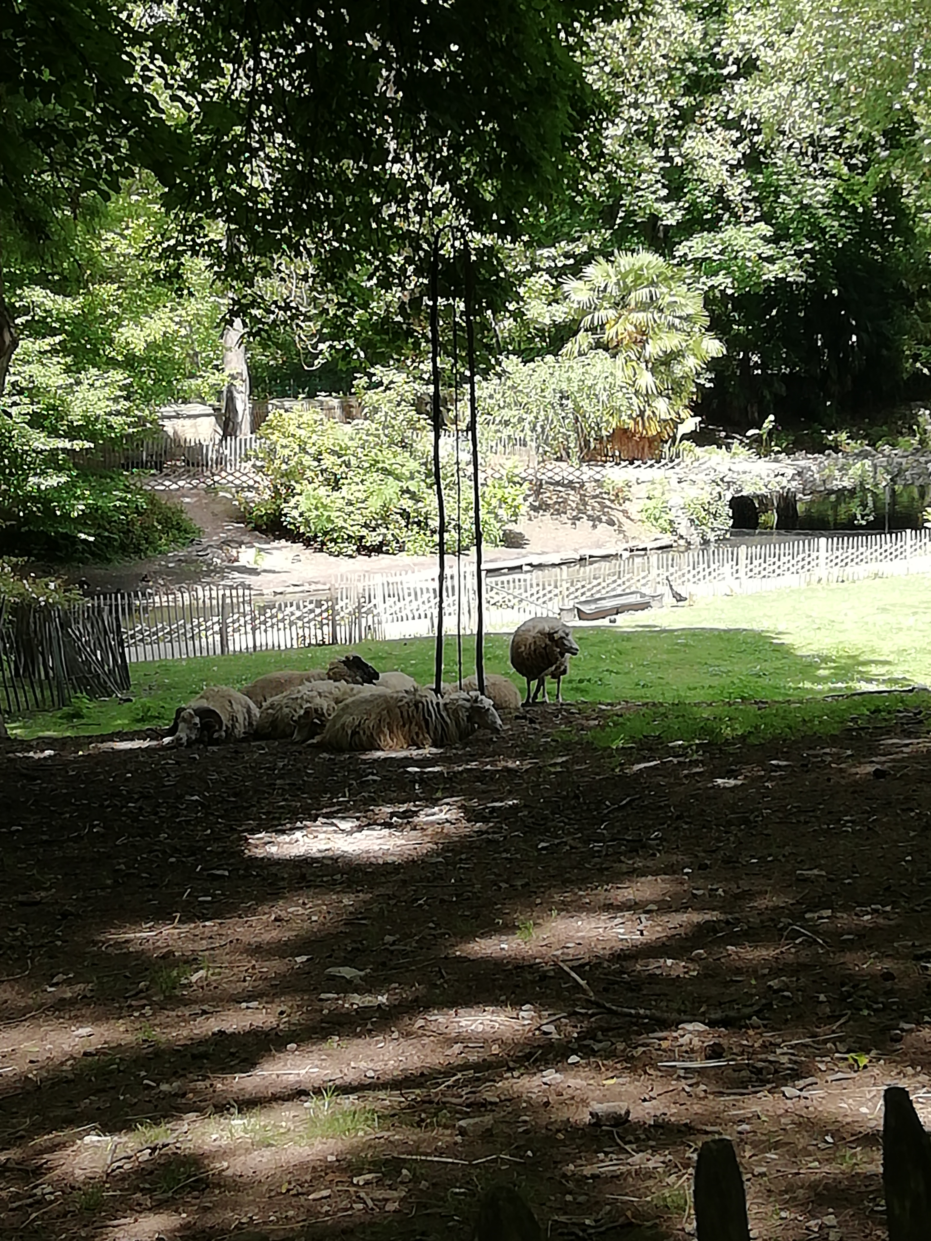 Photo n° 9 de l'avis de Marie.h fait le 17/06/2019 à 19:35