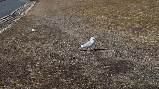 Park «Bensonhurst Park», reviews and photos, Cropsey Ave, Brooklyn, NY 11214, USA