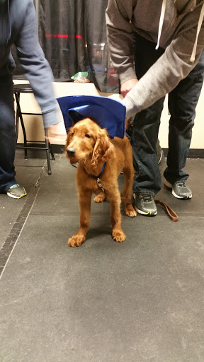 Pet Supply Store «Pet X Supplies & Tack», reviews and photos, 132 W Highland Rd Suite 101, Howell, MI 48843, USA